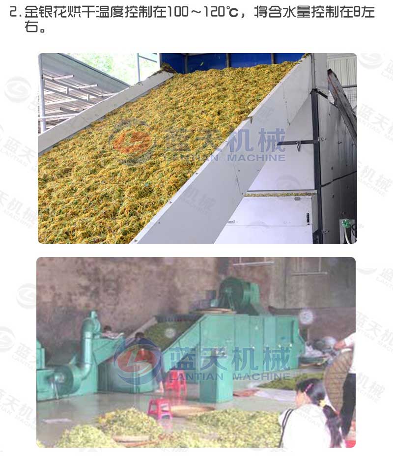 金銀花烘干機烘干工藝