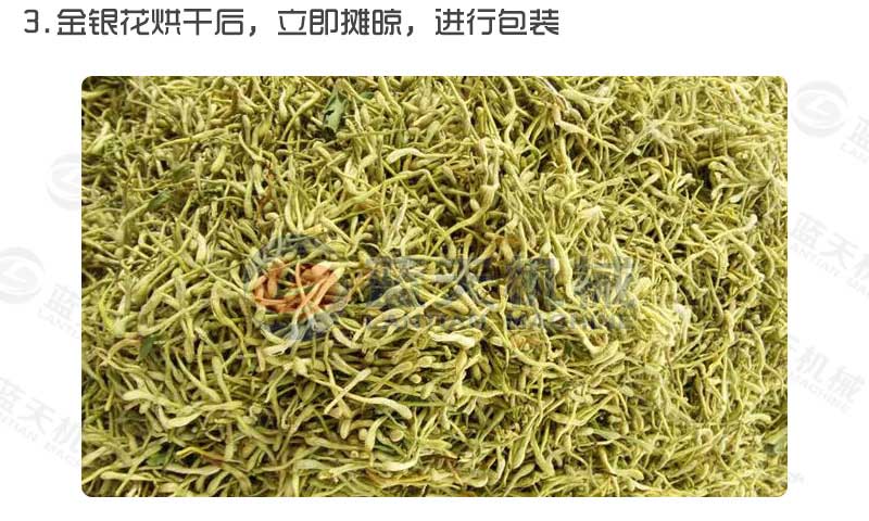 金銀花烘干機烘干工藝