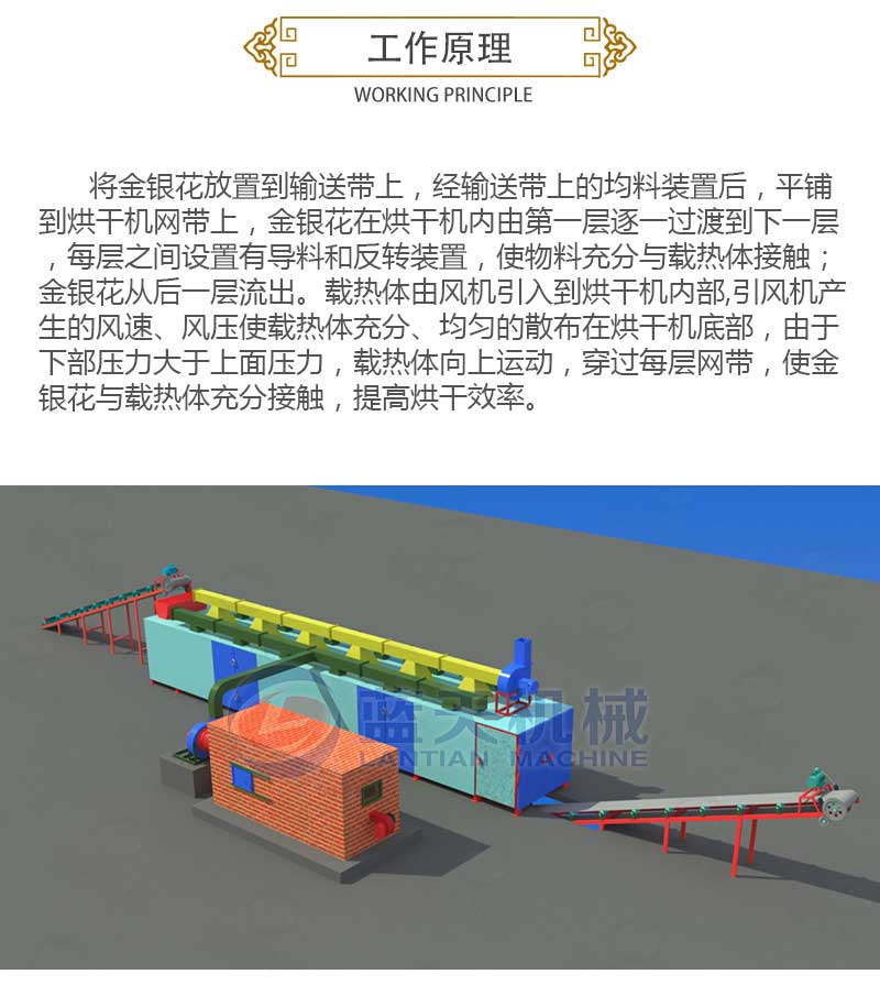 金銀花烘干機工作原理