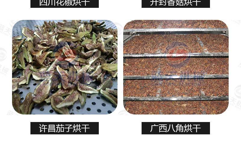 海帶烘干機(jī)廠家實拍