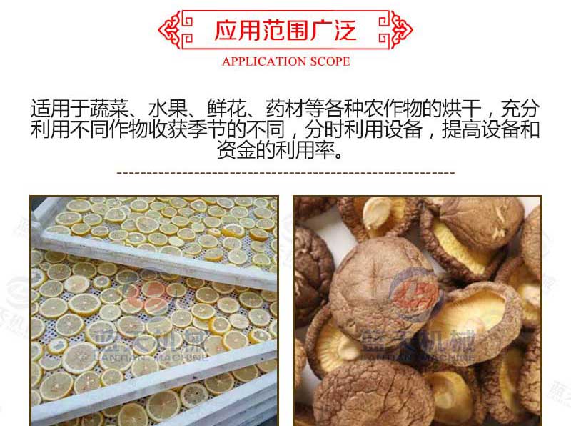 羊肚菌烘干機應(yīng)用范圍
