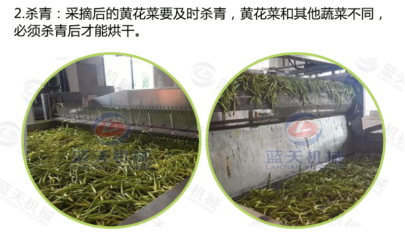 黃花菜烘干機烘干工藝